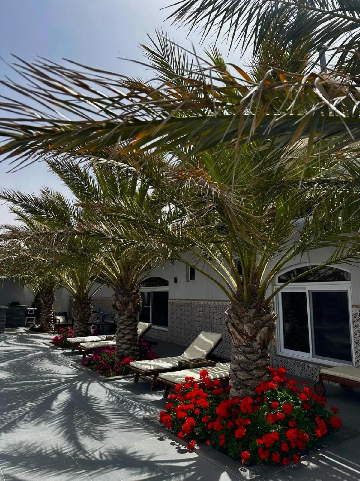 Golden Rays Chalet Мадаба Екстериор снимка